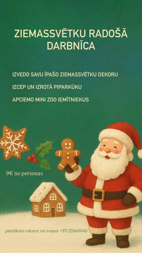 Ziemassvētku radošo darbnīca Mini ZOO "Atomi"
